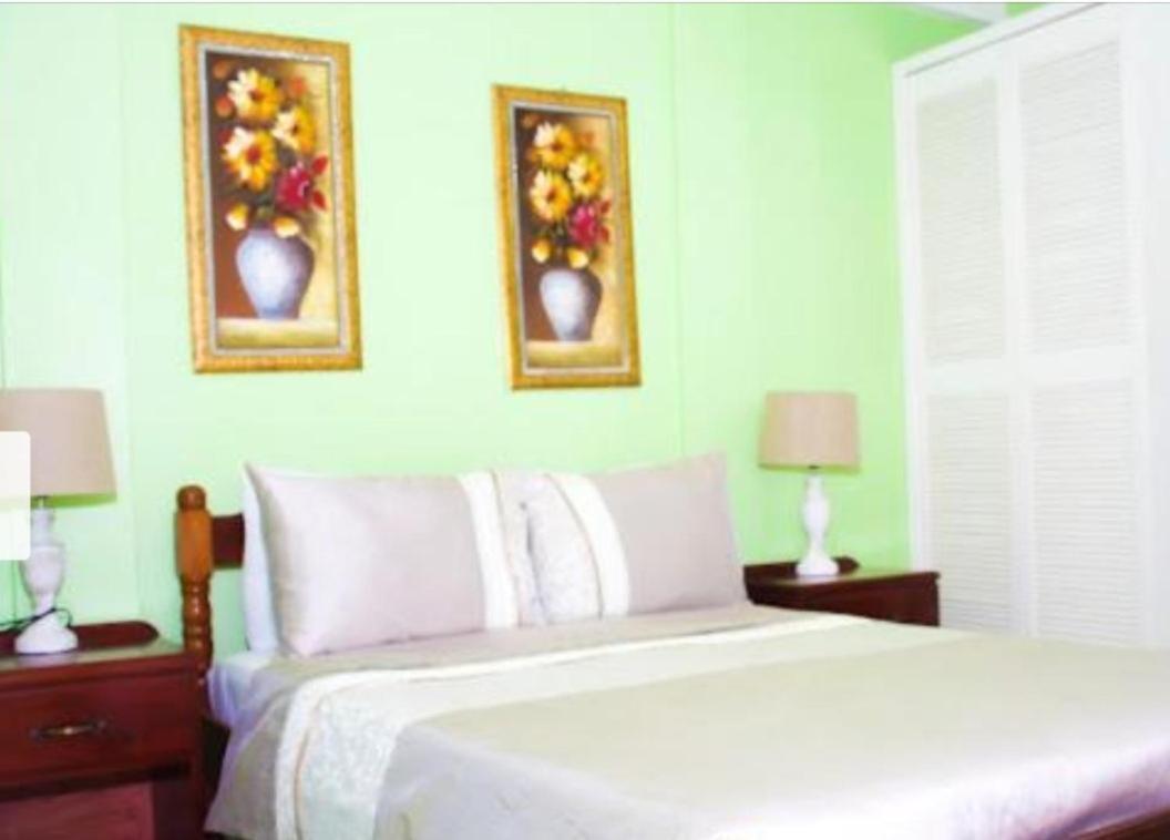 Silver View Apartments St. George's Экстерьер фото