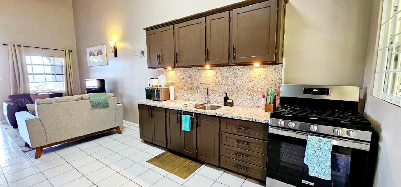 Silver View Apartments St. George's Экстерьер фото