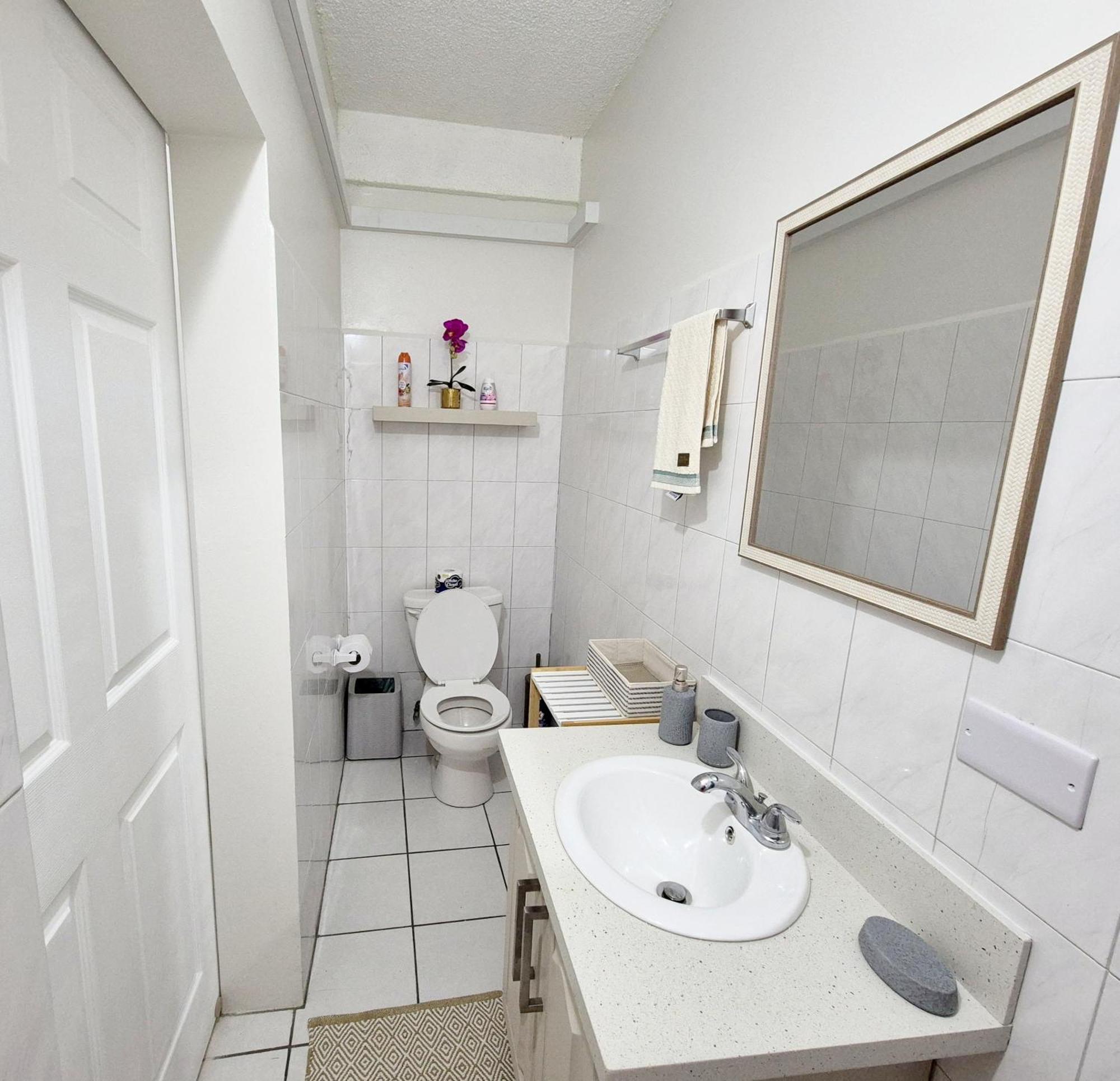 Silver View Apartments St. George's Экстерьер фото